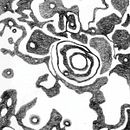 Cosmos (xCavae) . % Cavae Vallée tarafından hazırlanan Eskiz çizimi, Çizgi roman, Yaratıcılık, Editör, al Tasarım, Ve Grafik Tasarım projesi - 06.18.2018