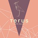 Terus - Coffe Palace. Projekt z dziedziny Br, ing i ident, fikacja wizualna, Projektowanie produktowe i Projektowanie graficzne użytkownika Nelson Perez - 25.01.2018
