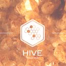 HIVE. Een project van  Ontwerp, Sieradenontwerp y Fotografie van irina - 04.02.2018