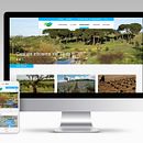 Diseño web responsive. Web Design, and UX / UI project by Pamela Pons Saez - 03.06.2017