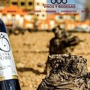 Vinos y bodegas. Un proyecto de Desarrollo Web y Diseño Web de Javier Alvarado Bertólez - 10.01.2017