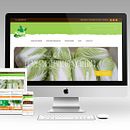 Nopal. Een project van  Webdevelopment y Grafisch ontwerp van Francisco Javier Melero - 13.02.2017
