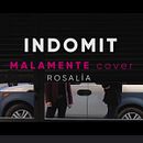 cover MALAMENTE. Un proyecto de Cine, vídeo, televisión, YouTube Marketing, Edición de vídeo, Postproducción audiovisual, Producción musical y Realización audiovisual de David Vallès Carrasco - 11.03.2019