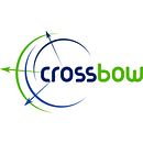 Logo CROSSBOW project. Br, ing, Identit, Design, and Graphic Design project by Elena Doménech - 02.27.2018