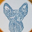 Sello Sphinx estampado sobre tela. Fine Arts project by Leyre Núñez - 03.09.2018