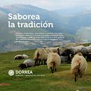 DORREA | Dirección de arte digital. Un proyecto de Dirección de arte y Diseño Web de Barantza - 16.03.2018