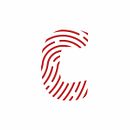 Identidad, Red Concept Ein Projekt aus dem Bereich Br, ing und Identität und Grafikdesign von Rodrigo Rojas - 16.03.2018