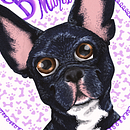 RETRATOS ANIMALES. Un progetto di Illustrazione tradizionale di Carolina Zavala - 17.03.2018