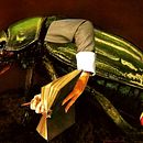 Collages hechos a mano con tijeras, papel y goma de pegar.. Un proyecto de Bellas Artes y Collage de Roberto Oscar Gasperi - 25.03.2018