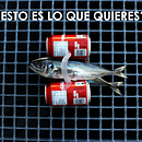 Campaña Medio Ambiente. Un proyecto de Br, ing e Identidad, Dirección de arte, Diseño, Diseño gráfico, Fotografía, Post-producción fotográfica		, Producción audiovisual					 y Publicidad de Mercedes Janowska - 20.03.2017