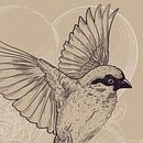 Ilustración Vectorial Pájaro. Un progetto di Illustrazione tradizionale e Illustrazione vettoriale di Ana Sansó - 30.03.2018