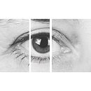 METAMORPHOSIS II. Projekt z dziedziny Fotografia użytkownika Alba Metzger - 10.06.2016