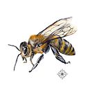 ilustraciones para pagina web http://resilience.earth/. Traditional illustration, Creativit, Drawing, Pencil Drawing, Digital Illustration, Painting, and Watercolor Painting project by Dolors Quiles Giner - 02.07.2018