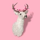 Venado Blanco. Creativit, Design, Graphic Design, Photograph, and Post-production project by Angel Guzmán Arrambide - 05.09.2018