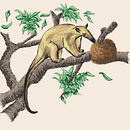 Oso Melero. Een project van Animatie, Karakteranimatie, Kalligrafie, Traditionele illustratie, T y pografie van Catalina Mora Fernández - 19.04.2018