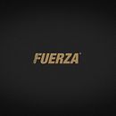 FUERZA. Br, ing, Identit, Art Direction, Lettering, and Packaging project by twineich - 03.09.2018