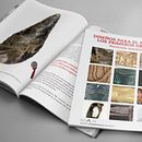 MAN Booklet Design Fest. Un projet de Design , Design graphique, Illustration traditionnelle et Illustration vectorielle de Aitana Rodríguez - 01.06.2018