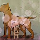 Mi Proyecto del curso: Ilustración digital con lápices de colores Ein Projekt aus dem Bereich Kreativität von drizt22 - 25.04.2018