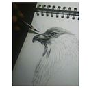 Boceto de un Águila  . Een project van  Urban art, Craft,  Schetsen,  Tekening, Tekening met potlood y  Art direction van Diego Vargas - 29.04.2018