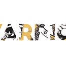 warrior. Un proyecto de Bellas Artes, Dibujo, Diseño de personajes, Ilustración tradicional y Pintura de Diana Ramirez - 08.05.2018