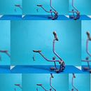 Animation tests with puppets - Stop Motion. Een project van Animatie, Karakteranimatie, Craft,  Beeldende kunst, Film, Film, video en televisie,  Creativiteit,  Art direction, Ontwerp van personages, Beeldhouwwerk, Stop-motion y  Video van Toni Zamora Aguirre - 07.02.2016