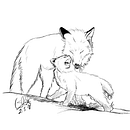 Naturaleza en bocetos. Un proyecto de Ilustración tradicional de Laura Sánchez - 21.05.2018