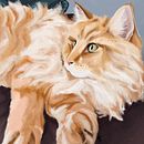 Oleos y Pasteles . Un proyecto de Bellas Artes de Laura Sánchez - 21.05.2012