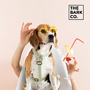 The Bark Co.. Un proyecto de Br, ing e Identidad, Desarrollo Web y Marketing de Rafael Romero - 25.05.2018