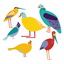BIRDS. Desenho, Ilustração tradicional e Ilustração digital projeto de Karolayne Pez - 30.05.2018