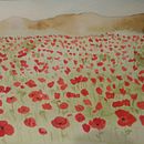 Campo de amapolas Ein Projekt aus dem Bereich Traditionelle Illustration von laurarwen - 09.06.2018