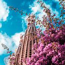 Arquitectura. Architecture, Street Art, Photograph, and Photographic Lighting project by evangelina_sarasola - 06.13.2018