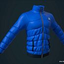 Winter Jacket . % Artur Montserrat tarafından hazırlanan 3D projesi - 06.15.2018