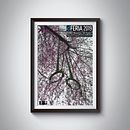 Cartel Dferia 2019 / Donostia - San Sebastián. Un proyecto de Diseño de carteles y Fotografía de Ane Manterola Domínguez - 02.06.2018