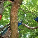 Mi Proyecto del curso: Lo que Siempre me ha Rodeado. Un progetto di Illuminazione fotografica di FCO. JAVIER GOMEZ MARTINEZ - 08.07.2018