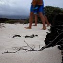 Mi Proyecto del curso: Producción y edición de vídeo con cámara DSLR y Adobe Premiere. Un progetto di Multimedia di g_sanchez - 21.07.2018