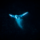 Patronus. 3D, Animation, and Design project by Pedro Masa Parra - 07.21.2018