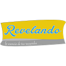 www.revelando.online. Projekt z dziedziny Web design użytkownika Ivan Reyes - 30.07.2018