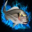 Tanero Fishing. Een project van  Br e ing en identiteit van Ivan Pastoriza - 04.08.2015