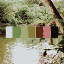 The Foreigner Collection. Fotografia projeto de Bárbara Montavon - 15.02.2018