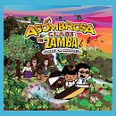 Zamba. Een project van Ontwerp van personages, Digitale illustratie y Vectorillustratie van Federico Merkel - 07.08.2016