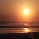 Sunset. Un proyecto de Fotografía de Vanesa Sz - 14.02.2018