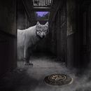 Mi Proyecto del curso: El renacer de Fenrir Ein Projekt aus dem Bereich Fotoretuschierung von Franco González - 28.08.2018