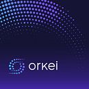 Orkei Software. Een project van  Art direction y Logo-ontwerp van Acid Estudi - 03.09.2018