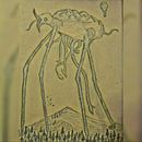 TETRIMONSTERS. Un proyecto de Bocetado de Elias Gonzalez Galan - 17.08.2018
