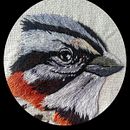 Copetón Común- Zonotrichia Capensis. Embroider project by Veronica Martinez - 11.05.2019