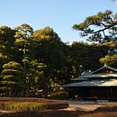 Fotografías - Japón. Photograph project by Nico Costa - 09.14.2018