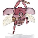 Romel, el escarabajo Andino. Un proyecto de Diseño de personajes, Ilustración tradicional, Ilustración digital y Pintura a la acuarela de Bas Andrade - 18.08.2018