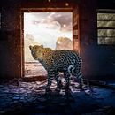 Creative Poster - Jaguar. Un proyecto de Diseño, Fotografía, Post-producción fotográfica		 y Retoque fotográfico de Christian Castro Barrientos - 20.09.2018