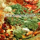 Descomposición. Fotografia, Fotografia de estúdio, e Fotografia do produto projeto de Adriana Bencomo Hernandez - 27.09.2018