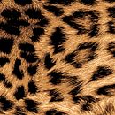 Pattern Leopard Skin. Un progetto di Design di Cristian Quinteros - 03.10.2017